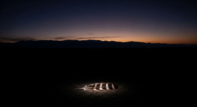 Vast prairie landscape at deep twilight with eagle feather